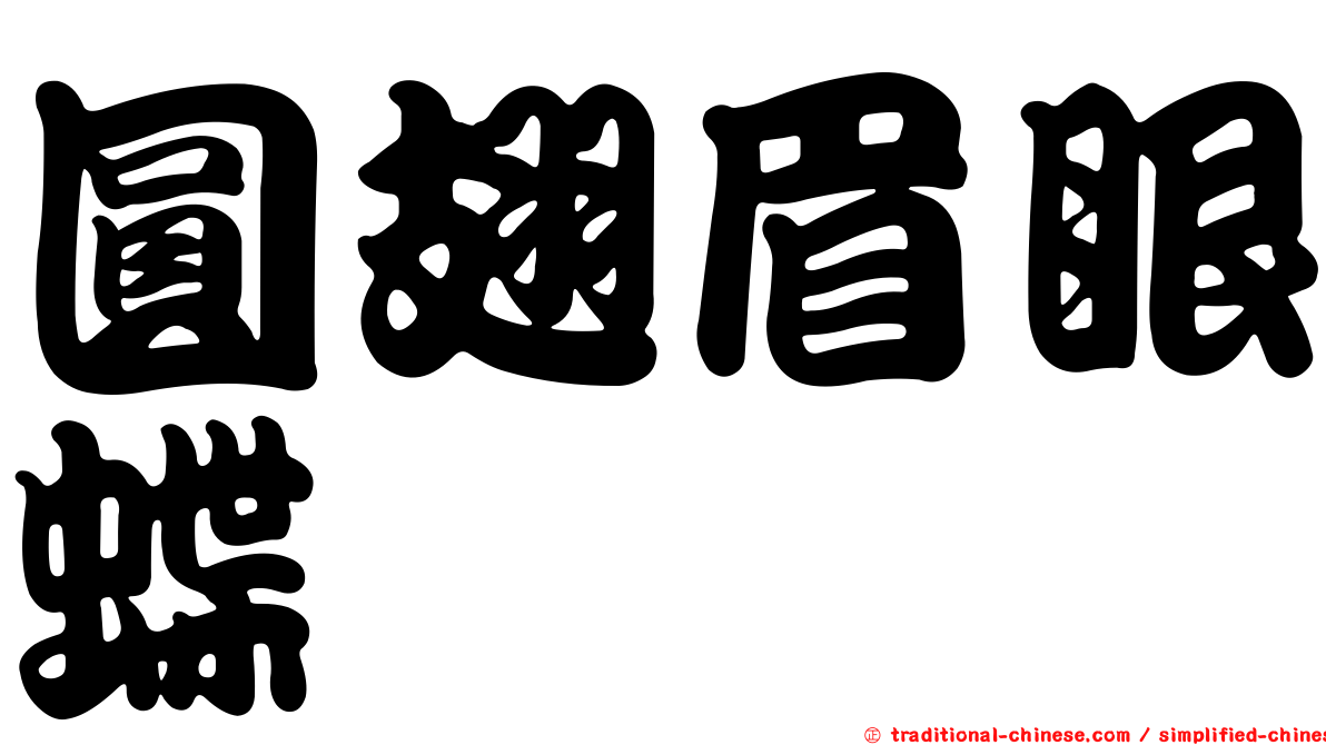 圓翅眉眼蝶