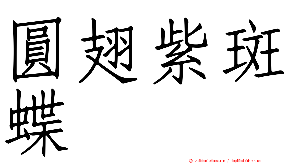圓翅紫斑蝶