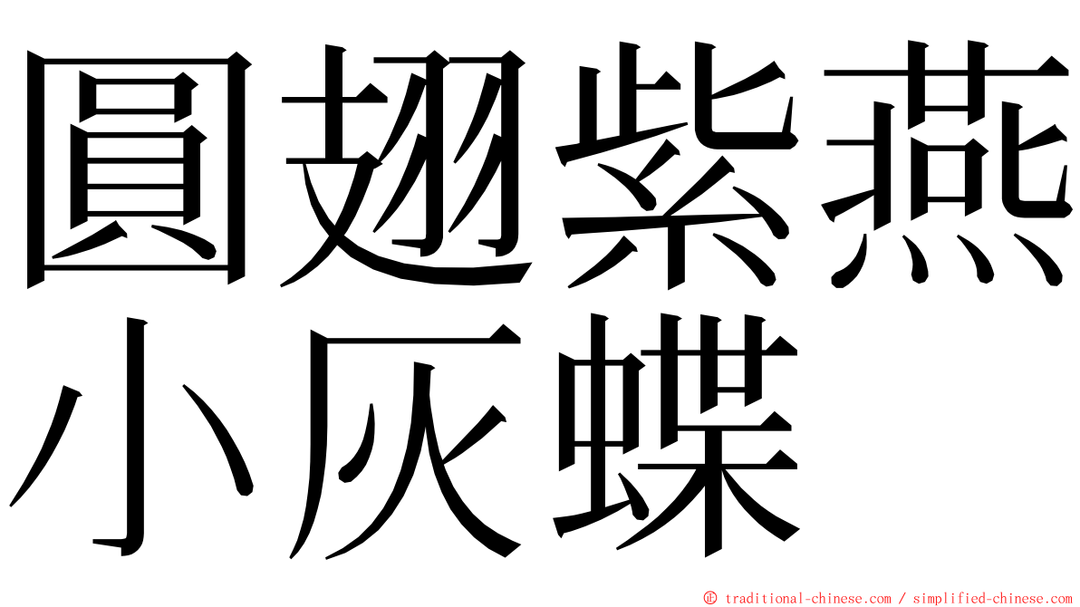 圓翅紫燕小灰蝶 ming font