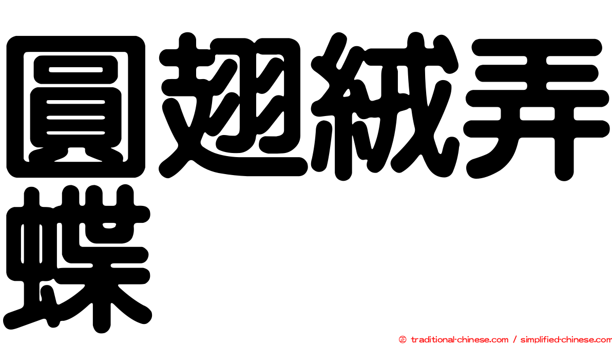 圓翅絨弄蝶