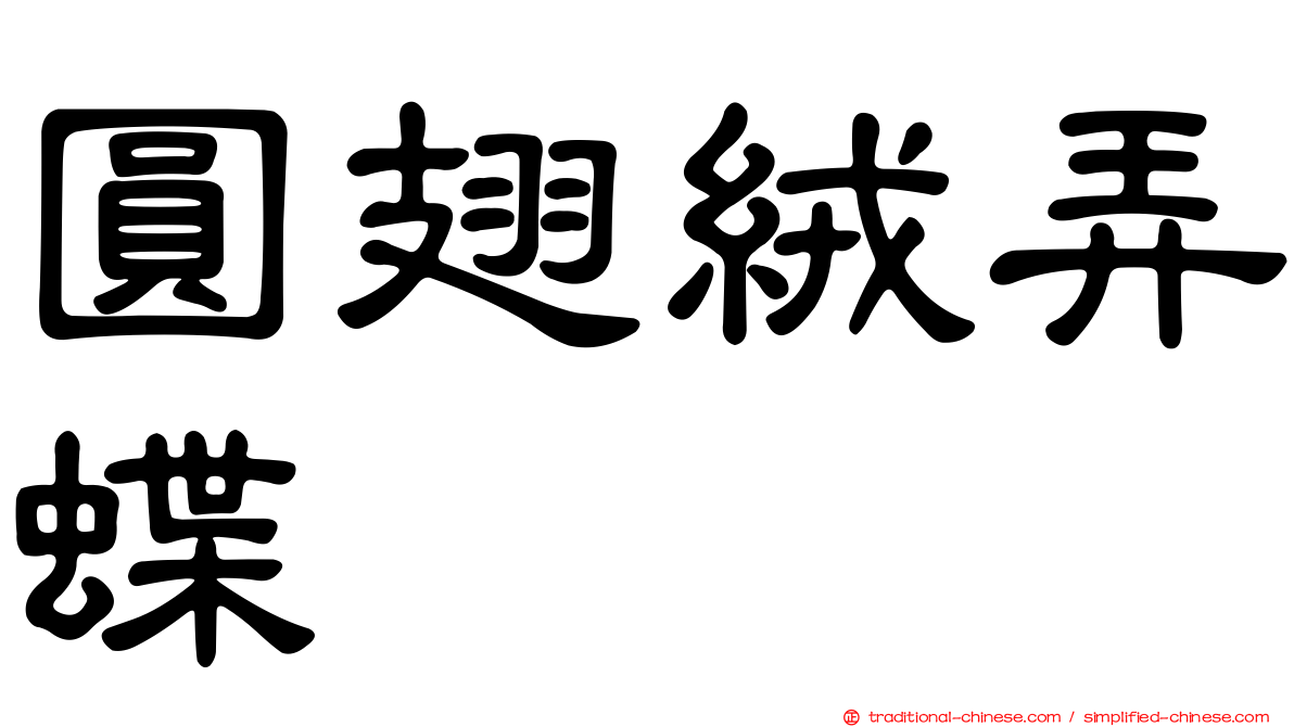 圓翅絨弄蝶