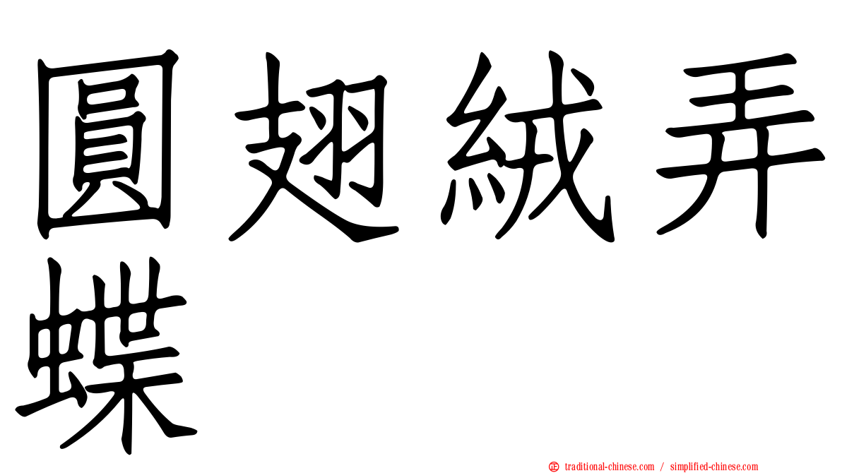 圓翅絨弄蝶