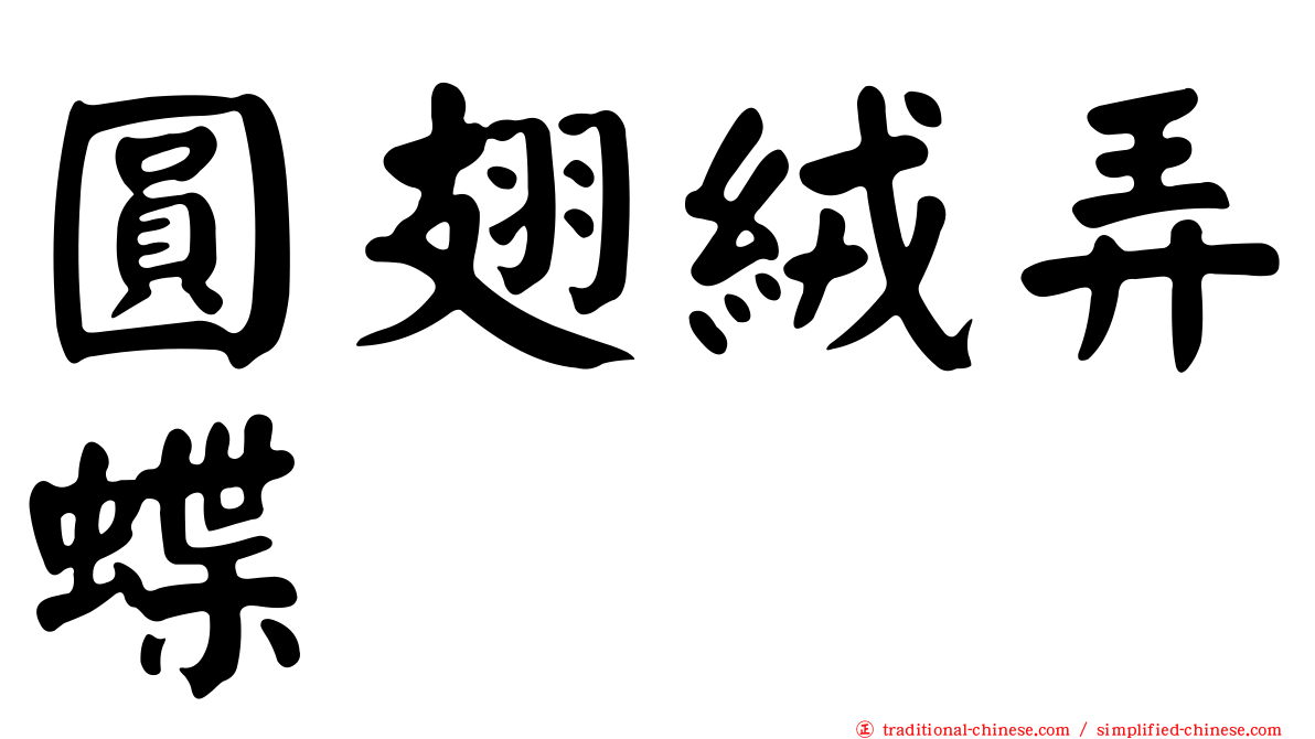 圓翅絨弄蝶
