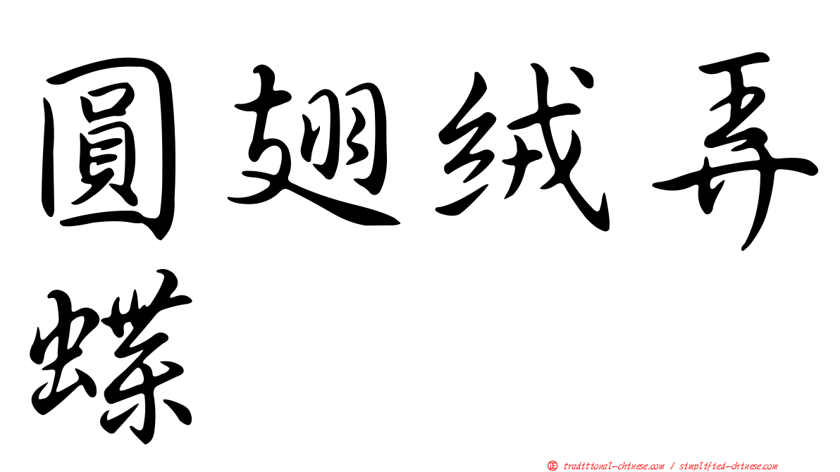 圓翅絨弄蝶