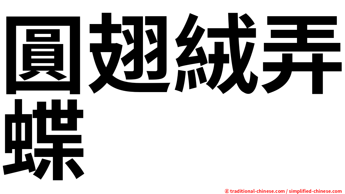 圓翅絨弄蝶