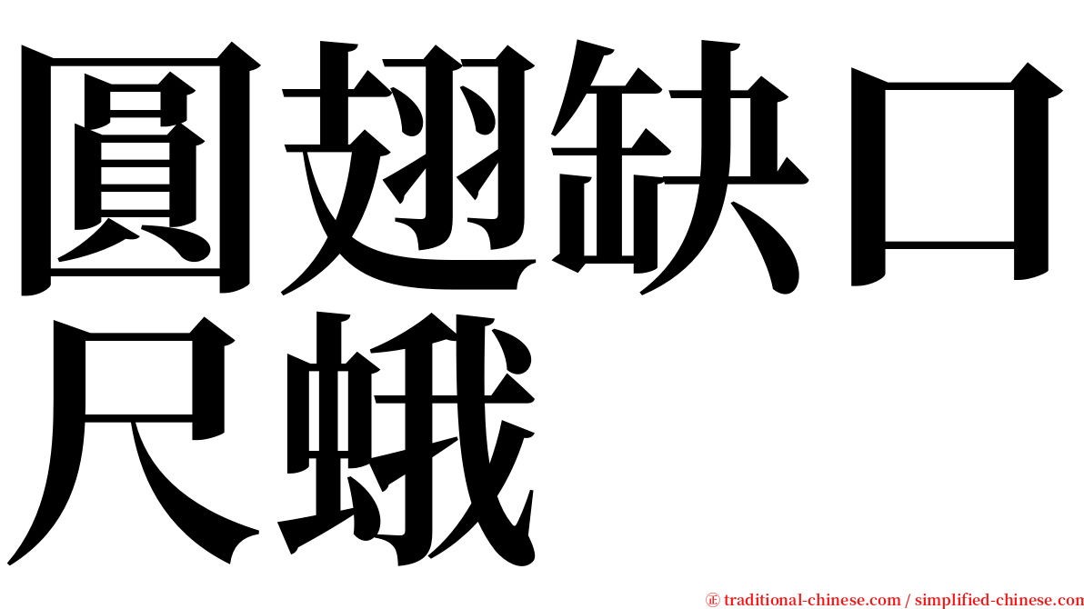 圓翅缺口尺蛾 serif font