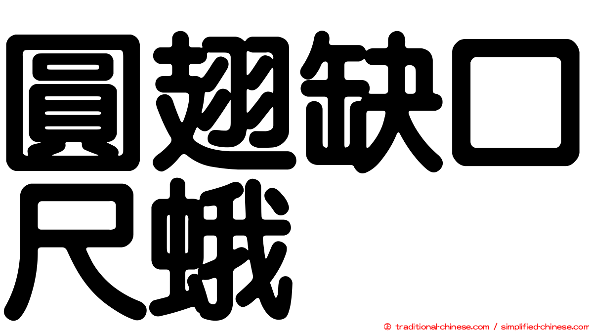 圓翅缺口尺蛾