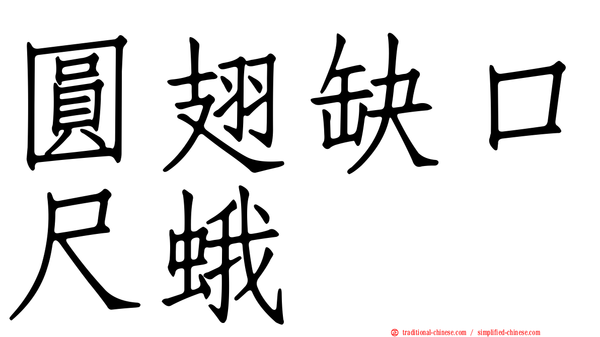 圓翅缺口尺蛾