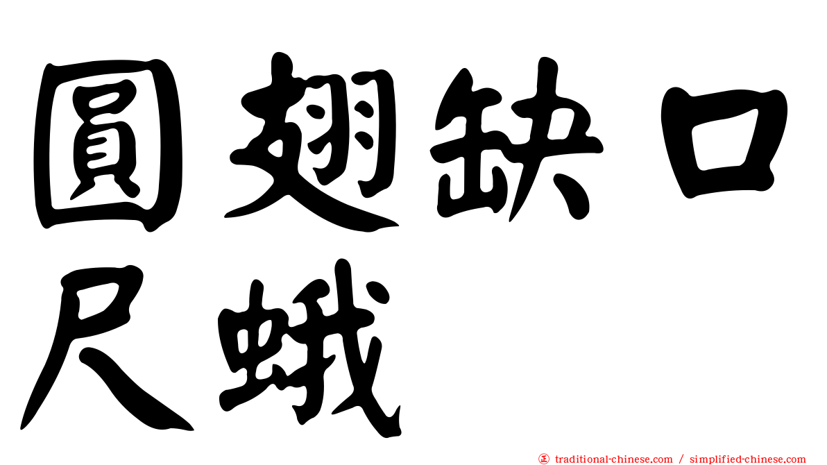圓翅缺口尺蛾
