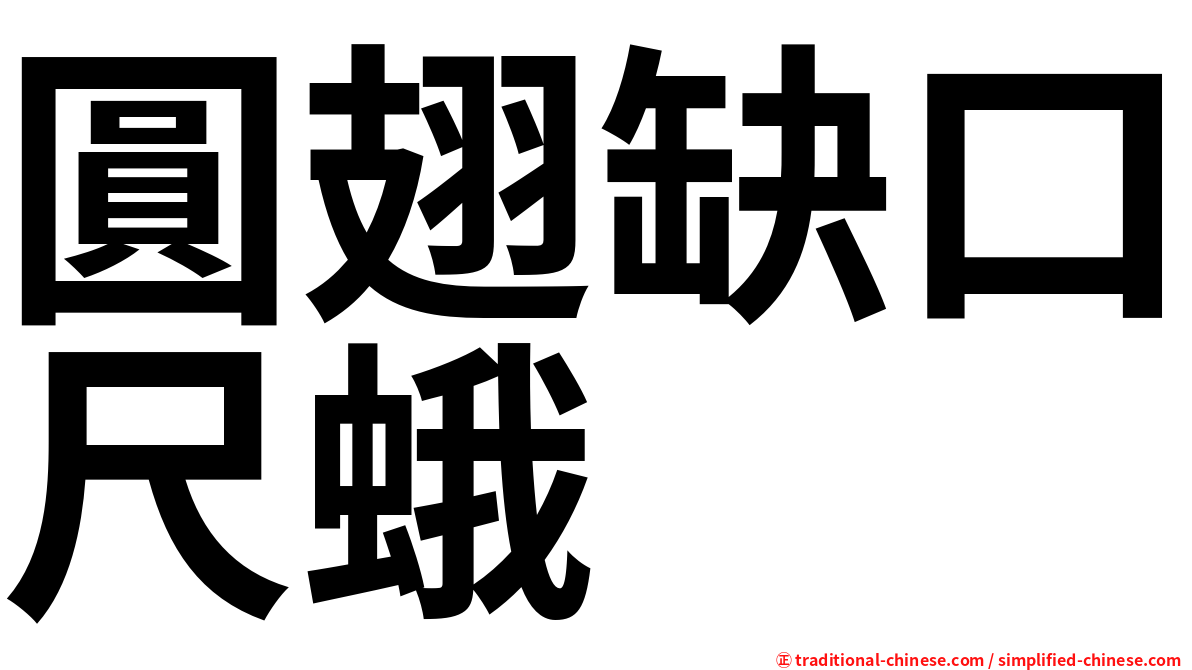 圓翅缺口尺蛾