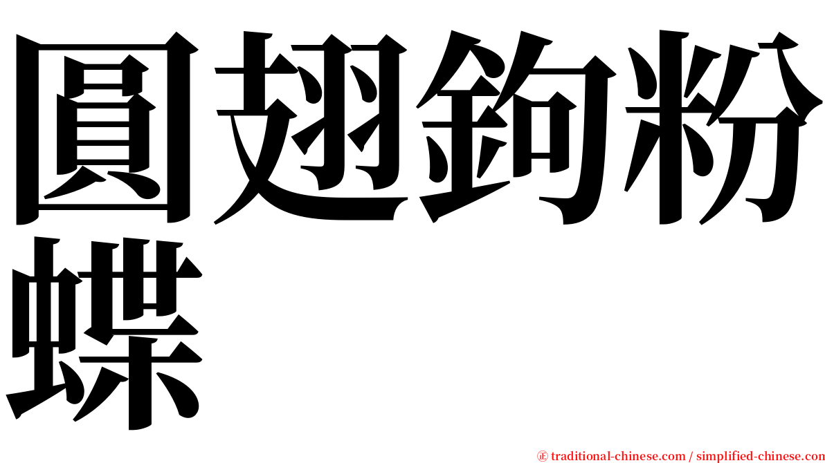 圓翅鉤粉蝶 serif font