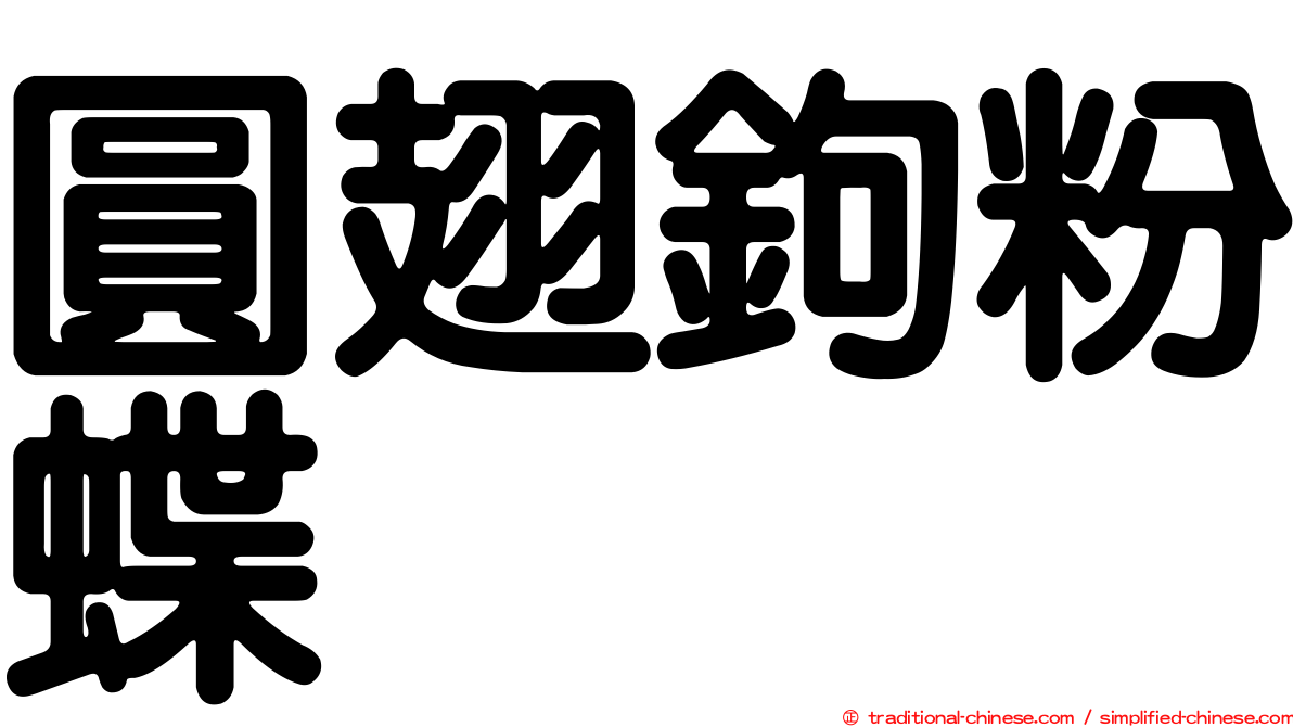 圓翅鉤粉蝶