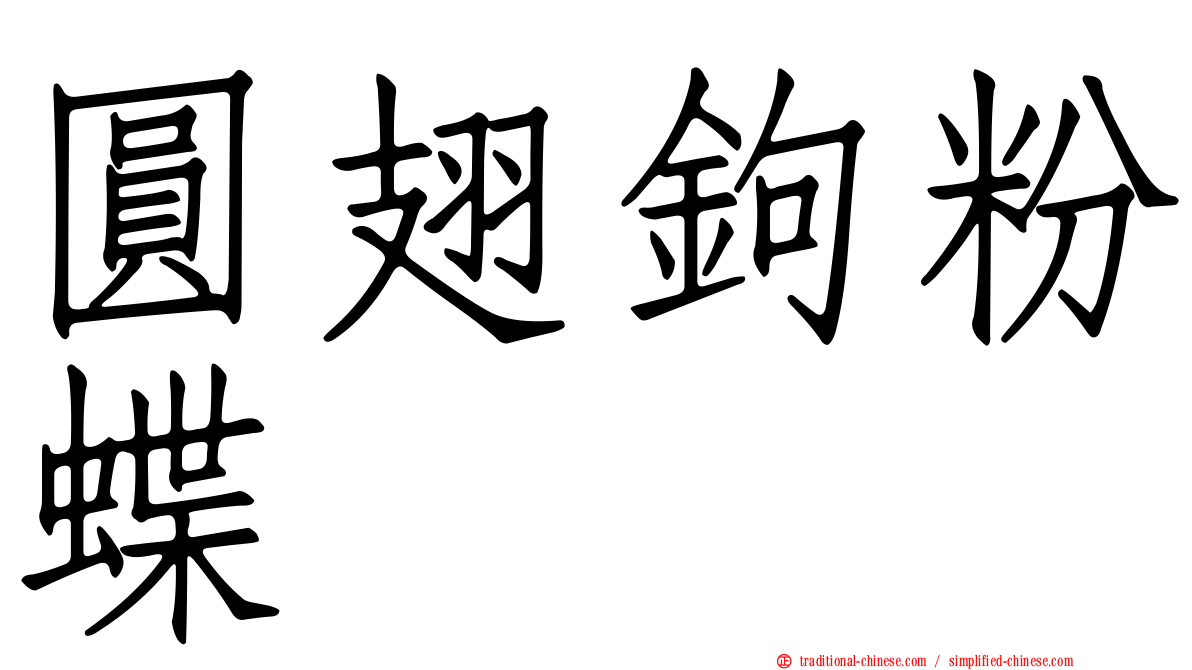 圓翅鉤粉蝶