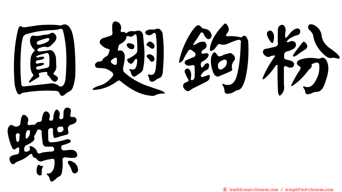 圓翅鉤粉蝶