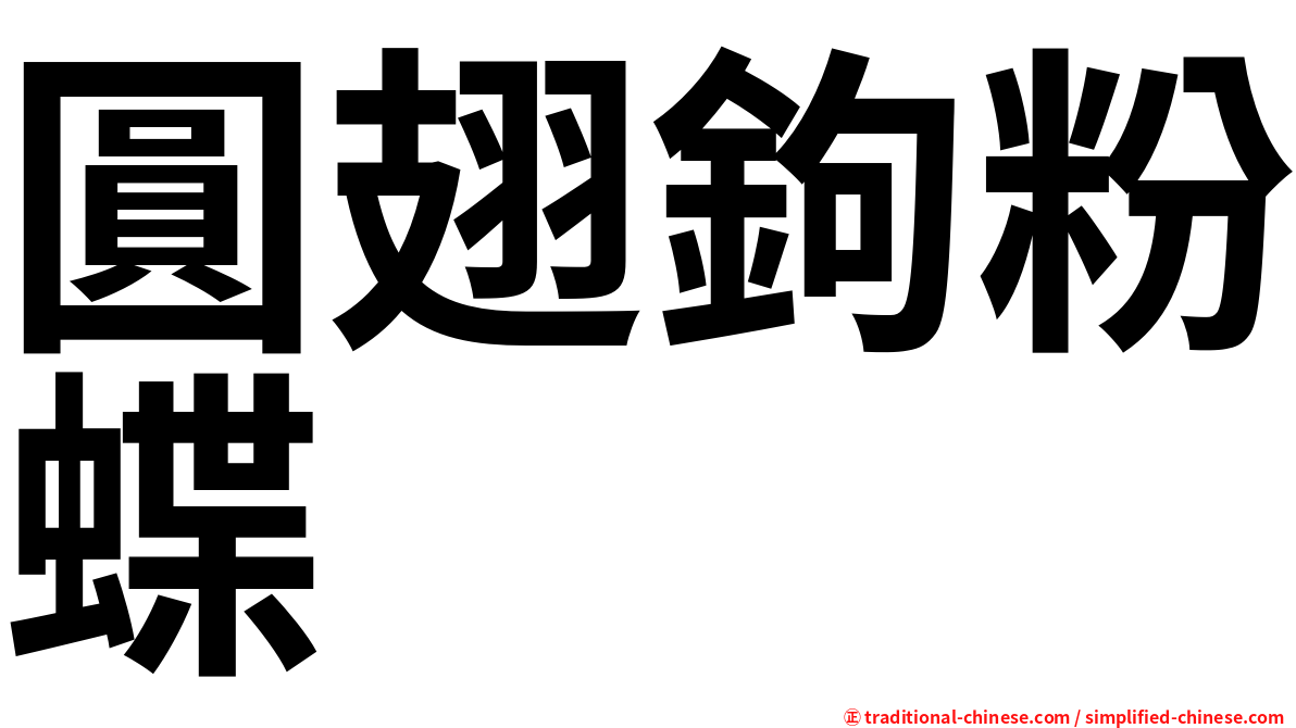 圓翅鉤粉蝶