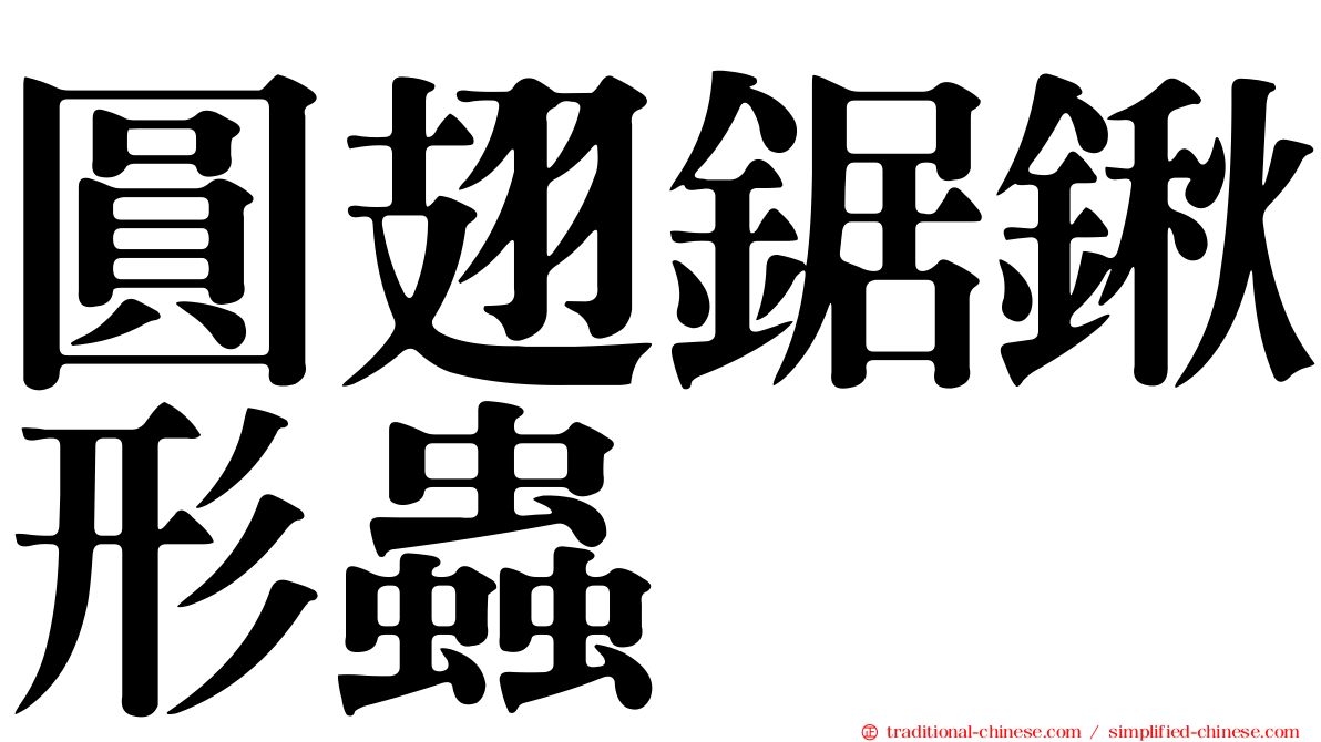 圓翅鋸鍬形蟲