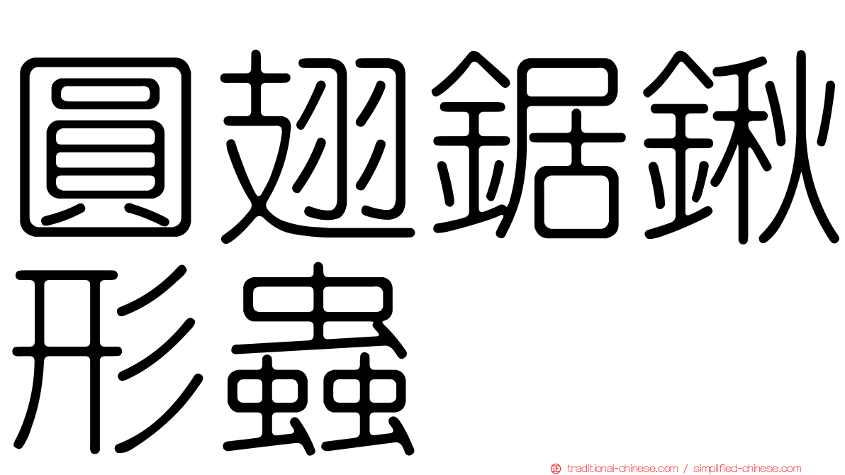 圓翅鋸鍬形蟲
