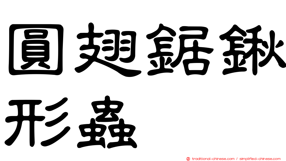 圓翅鋸鍬形蟲