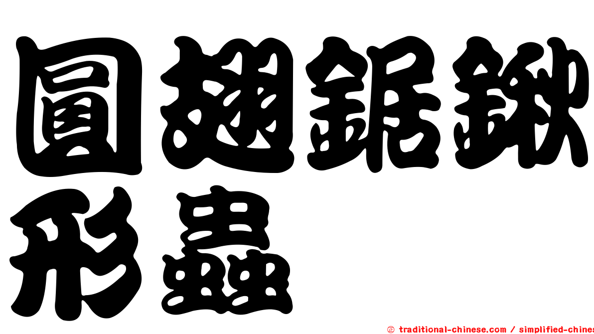 圓翅鋸鍬形蟲
