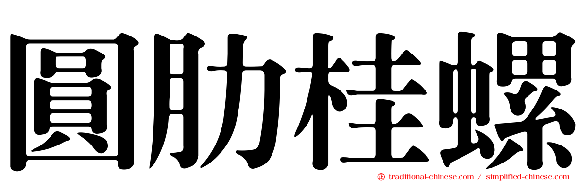 圓肋桂螺
