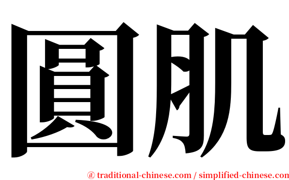 圓肌 serif font