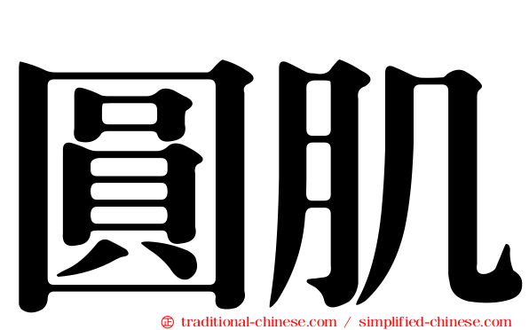 圓肌
