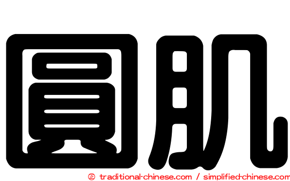 圓肌