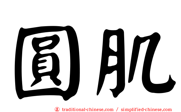 圓肌