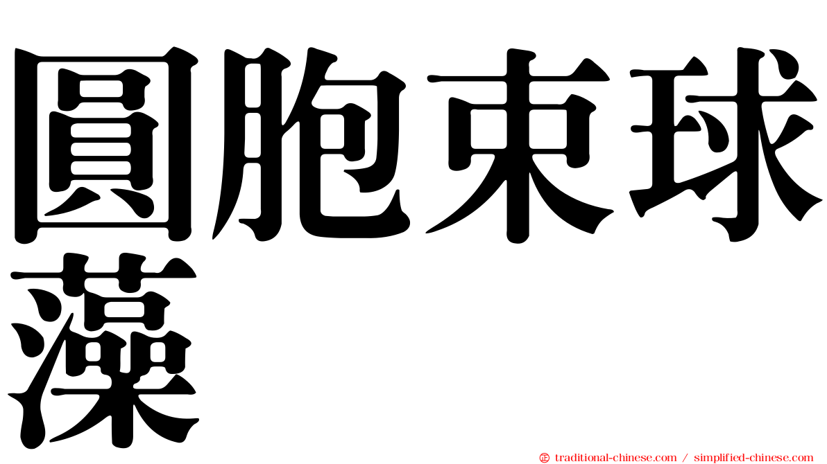 圓胞束球藻