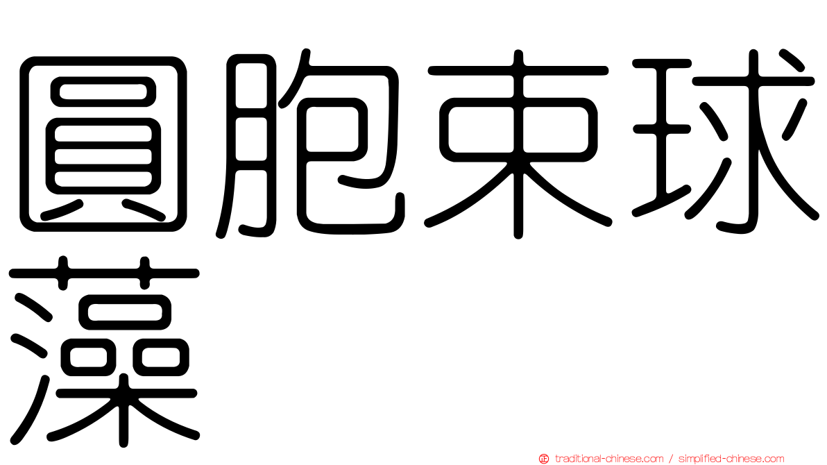 圓胞束球藻