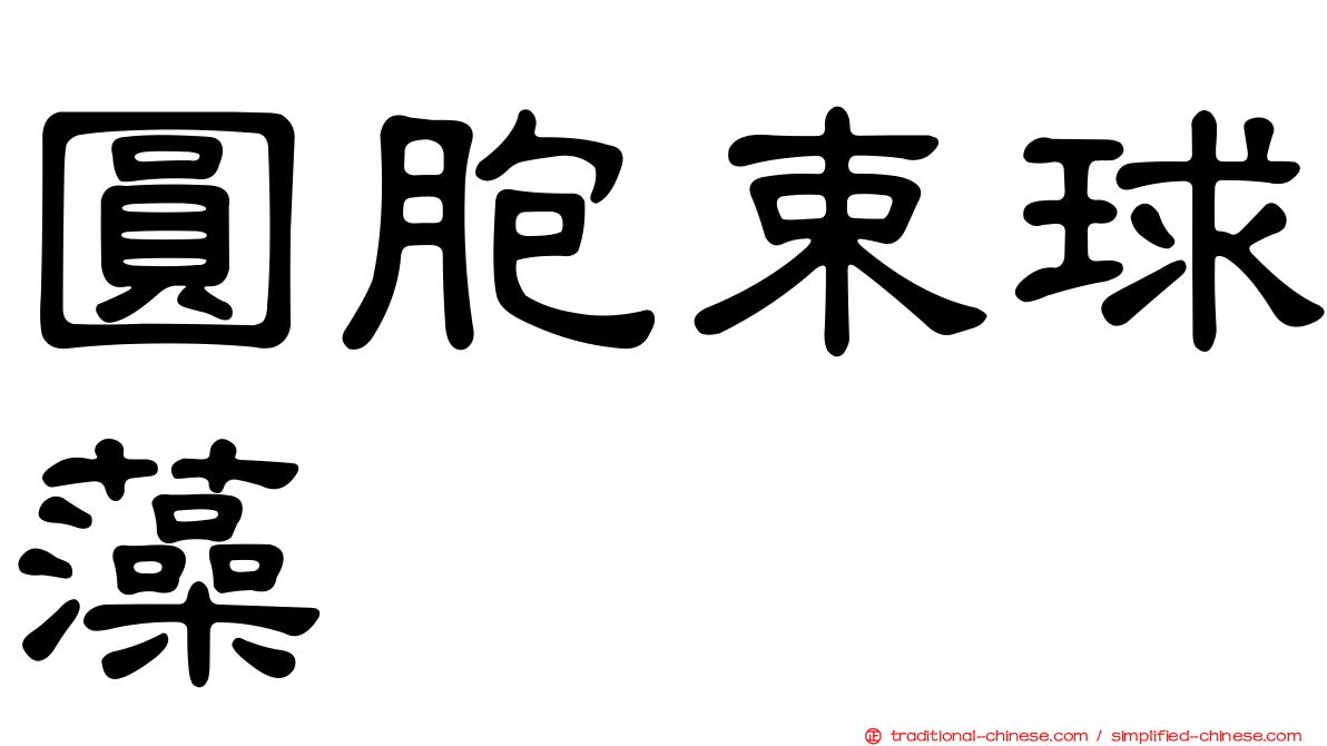 圓胞束球藻