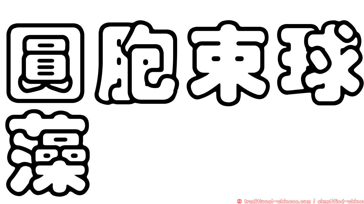 圓胞束球藻