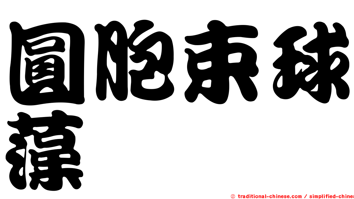 圓胞束球藻