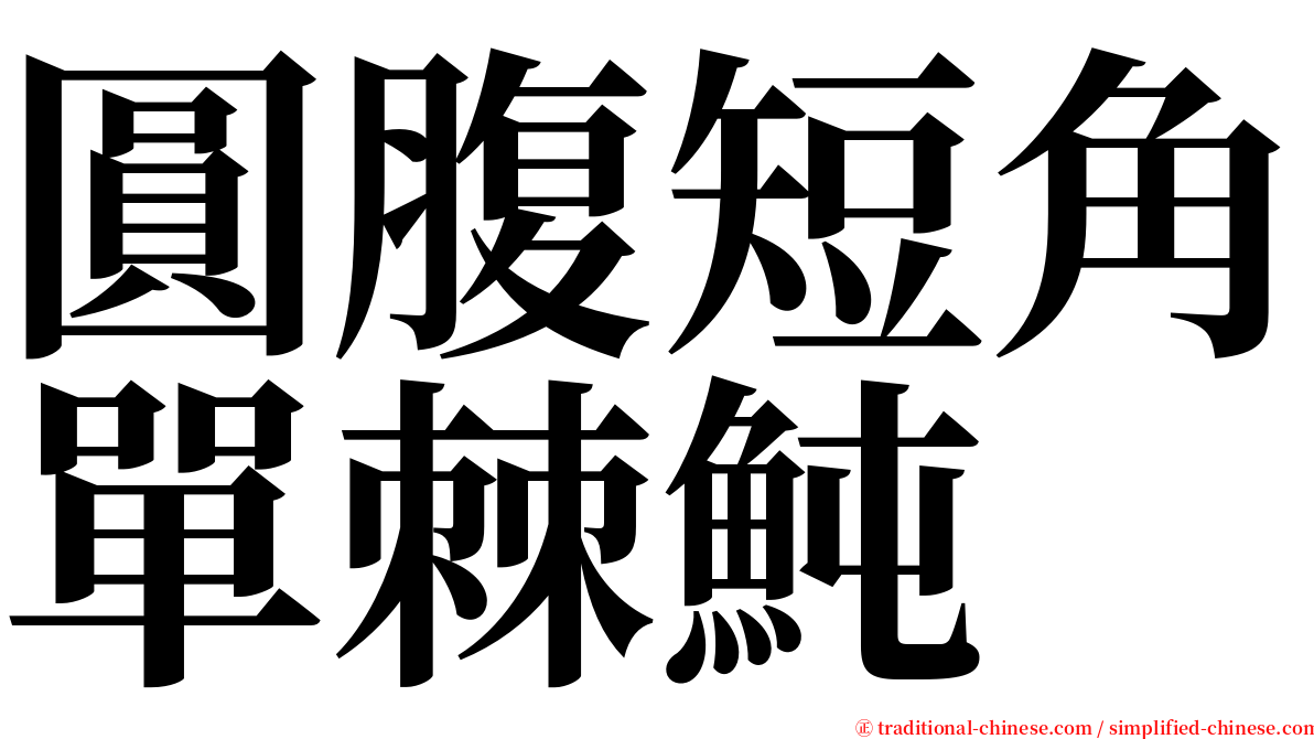 圓腹短角單棘魨 serif font