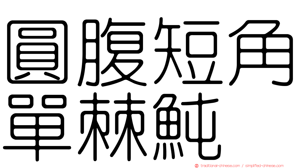 圓腹短角單棘魨