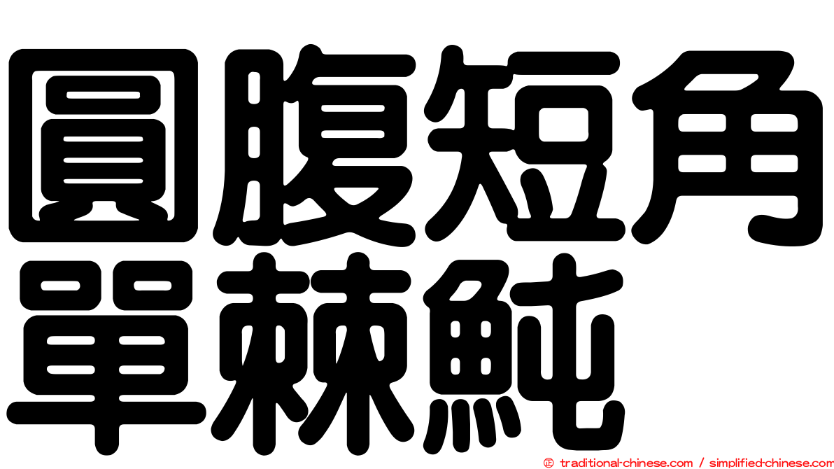 圓腹短角單棘魨