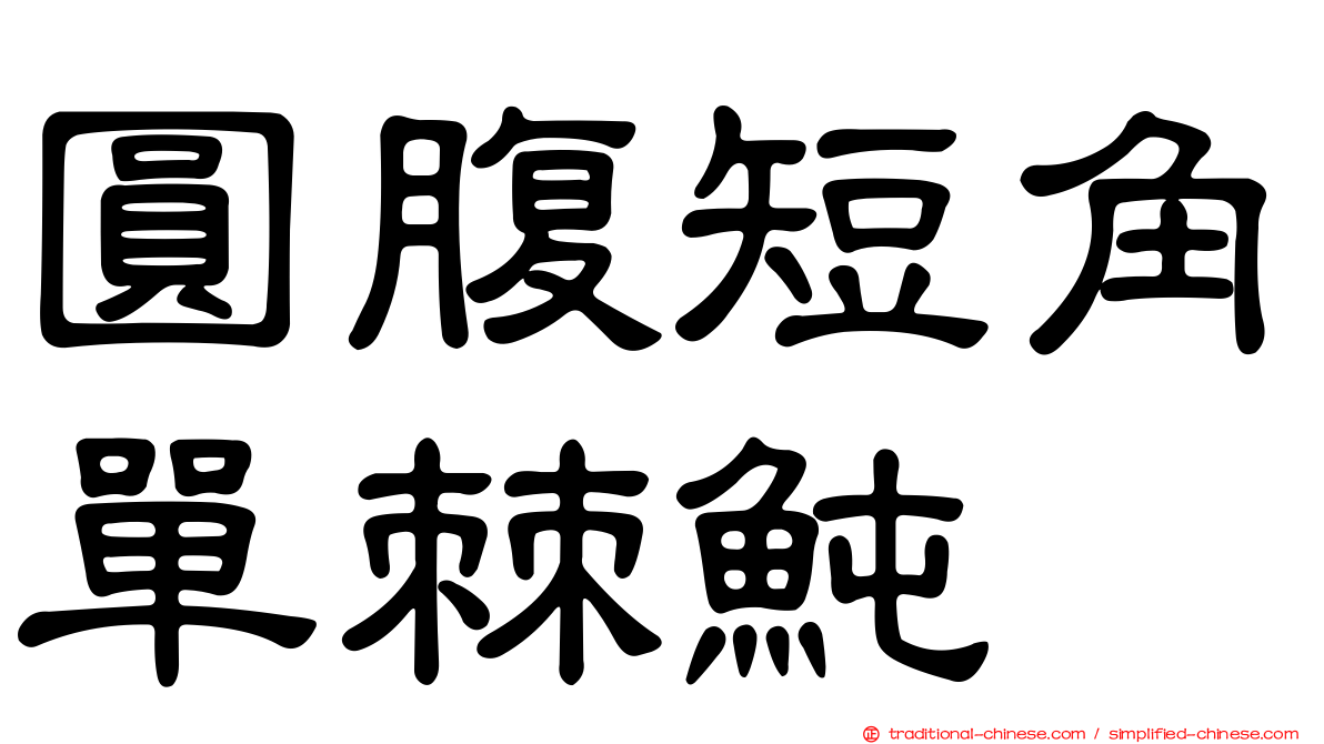 圓腹短角單棘魨