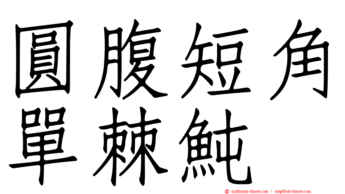 圓腹短角單棘魨