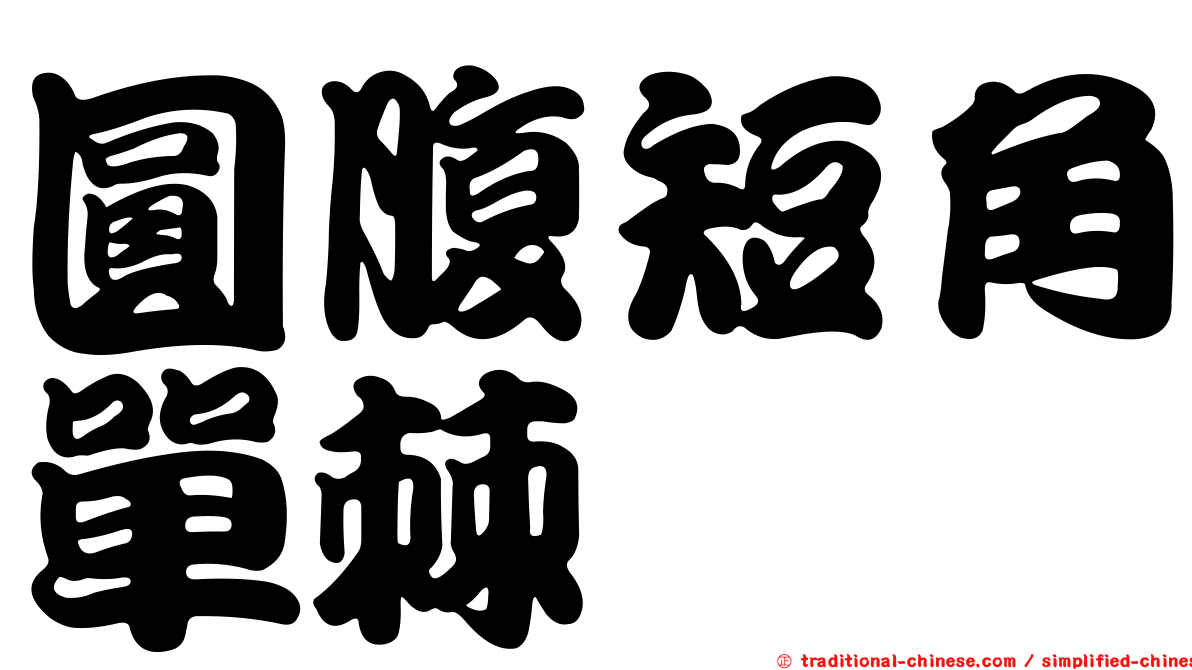 圓腹短角單棘魨