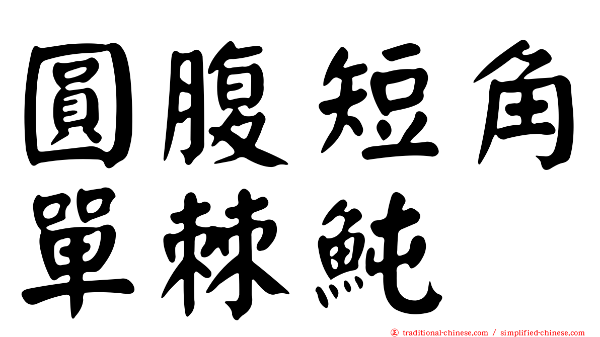 圓腹短角單棘魨