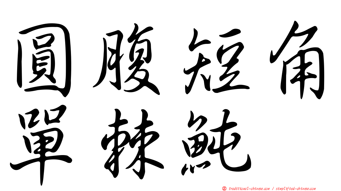 圓腹短角單棘魨
