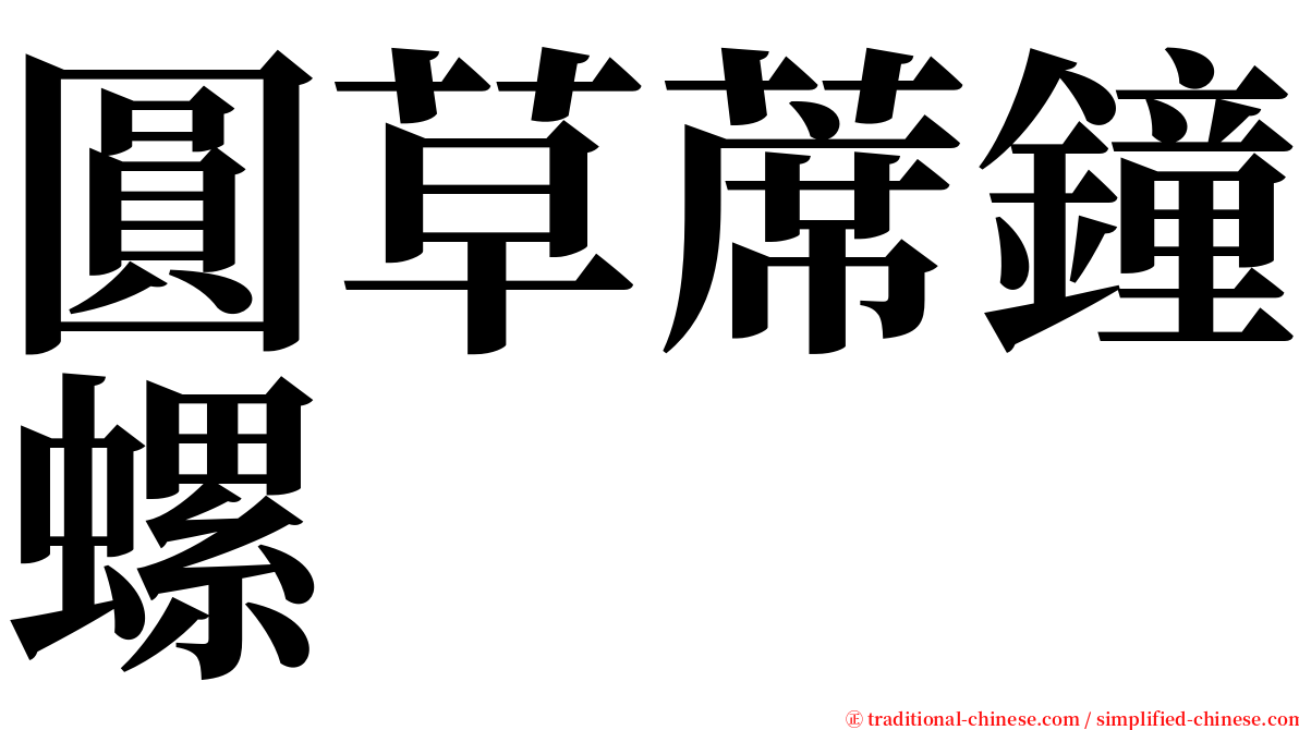 圓草蓆鐘螺 serif font