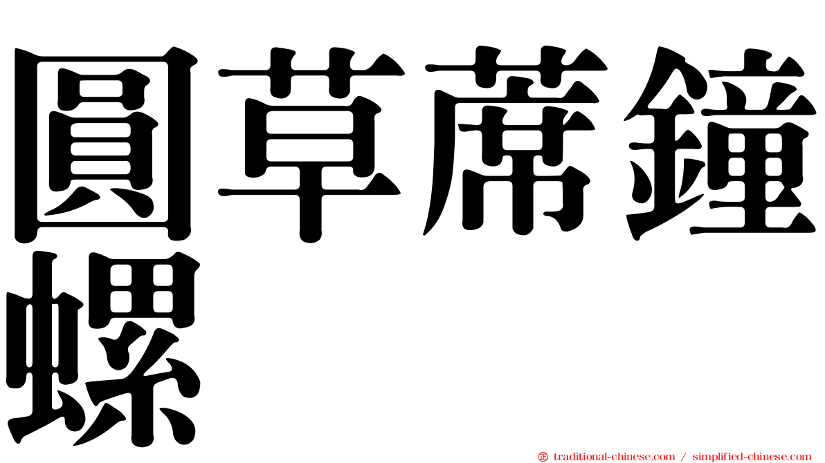 圓草蓆鐘螺