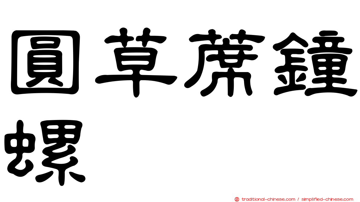 圓草蓆鐘螺