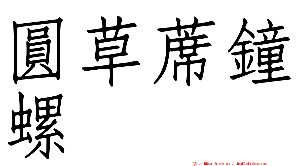 圓草蓆鐘螺