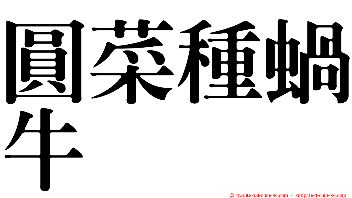 圓菜種蝸牛
