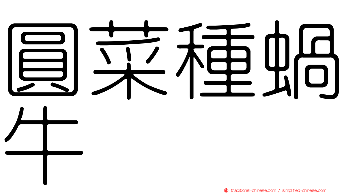 圓菜種蝸牛