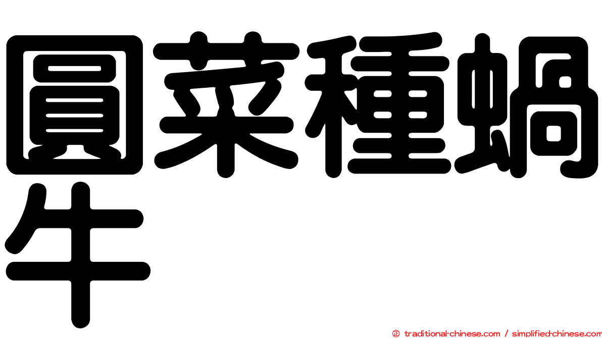 圓菜種蝸牛