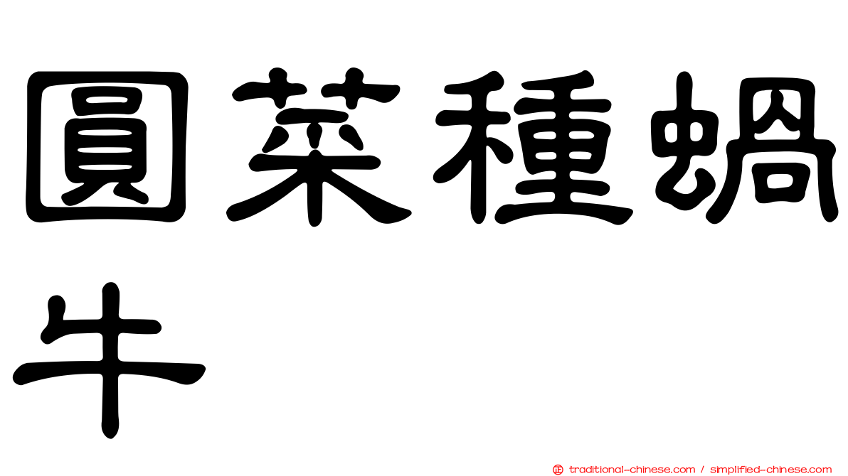 圓菜種蝸牛