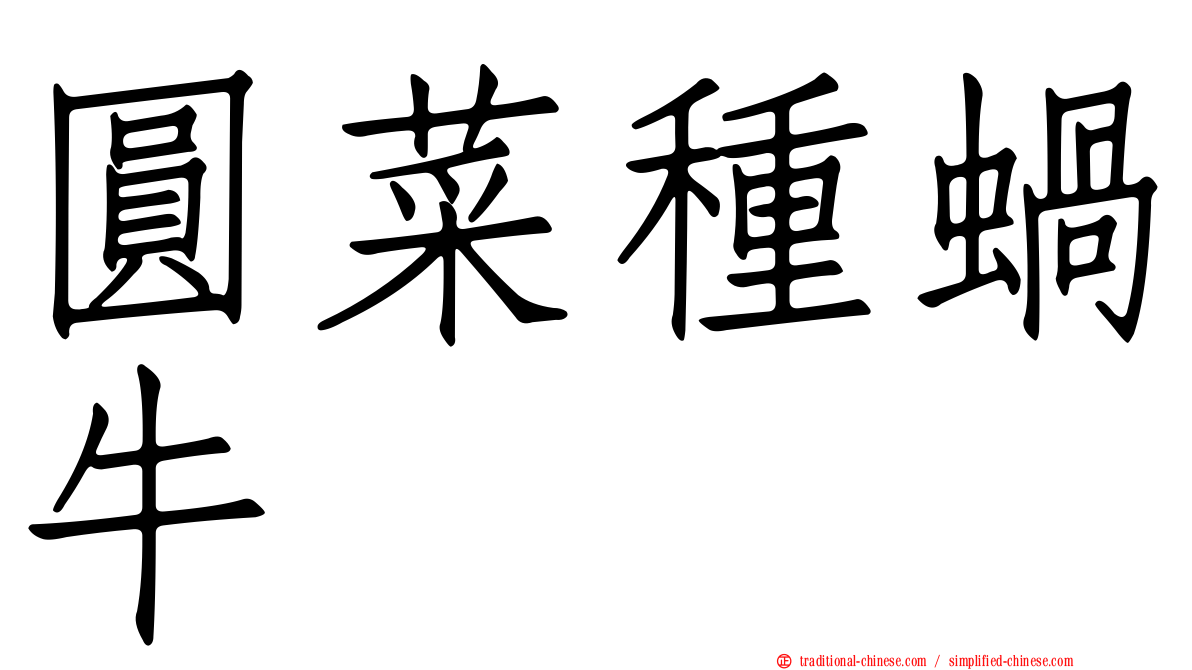 圓菜種蝸牛